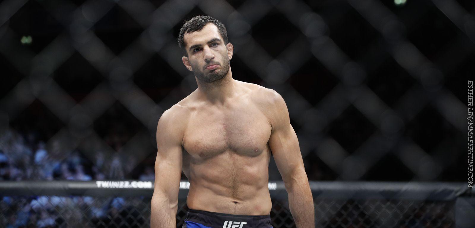 Gegard Mousasi MMA